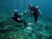 SSI Deep Diver Specialty on Koh Lanta