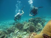 Diving @ Koh Haa with Dive & Relax