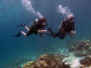 Discover Scuba Diving on Koh Lanta with Dive & Relax