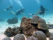 Discover Scuba Diving on Koh Lanta with Dive & Relax