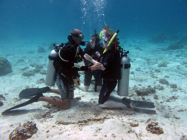 Siyayotgan travestit