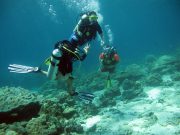 Open Water Diver Course on Koh Lanta with Dive & Relax
